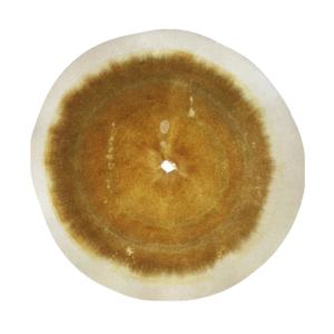 Analyse de terre par chromatographie