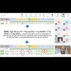 Conseils et diagnostic personnalisé en visio