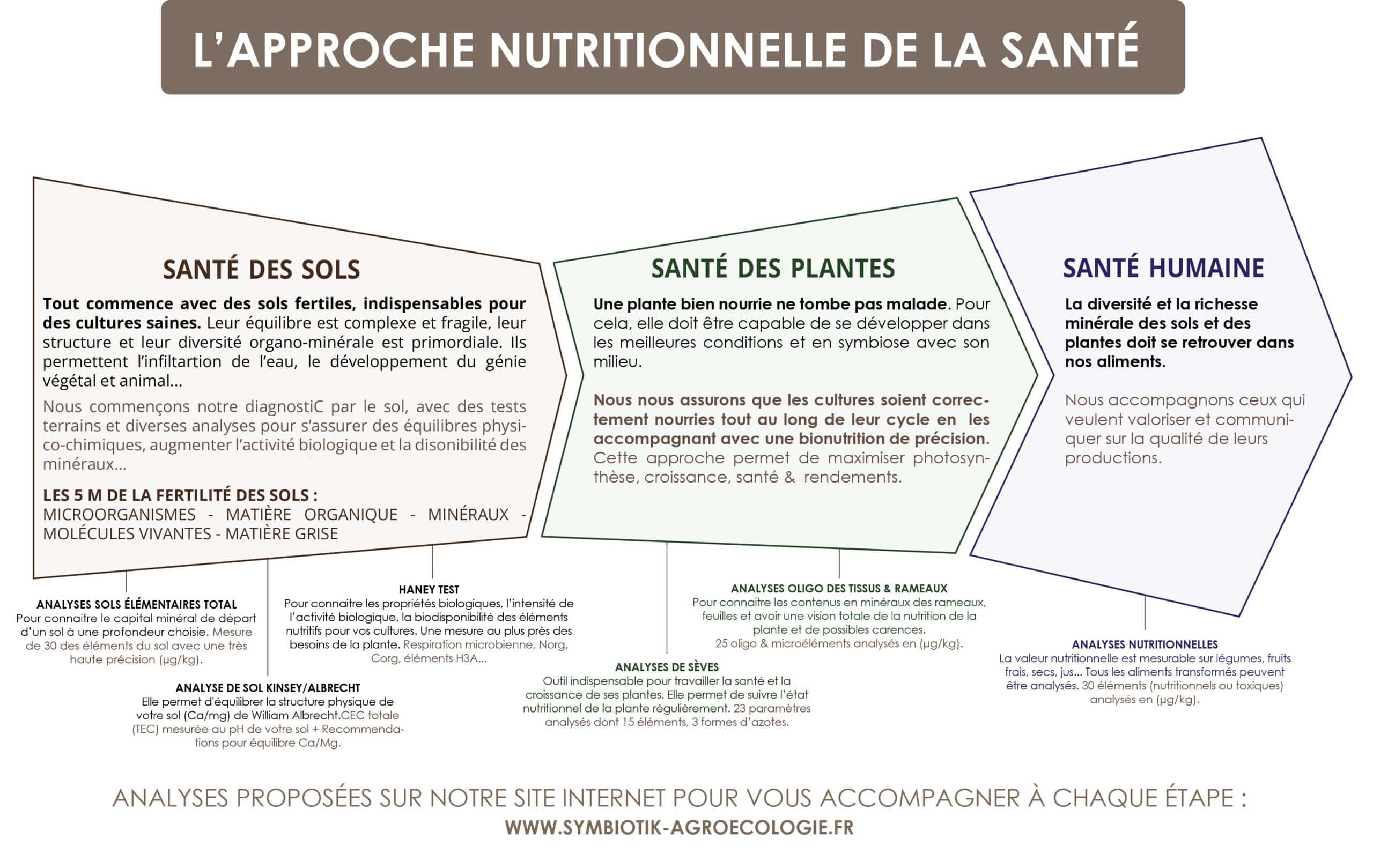 Approche nutritionelle sante des sols Plan de travail 1 Copie scaled e1685004516507