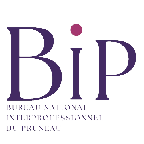 BIP_fond-transparent BIP fond transparent