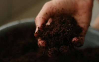 Introduction à l’analyse Kinsey : comprendre les équilibres du sol pour régénérer sa fertilité