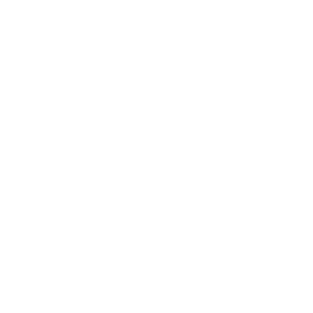 Nouveau projet13