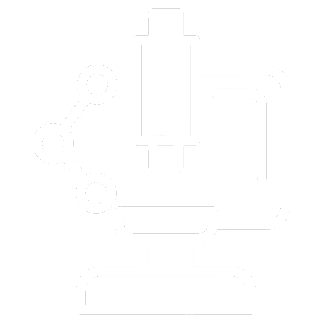 Nouveau projet17